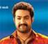 Dammu release creates stir in TDP