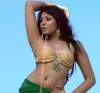Madhu Shalini Latest Hot Stills