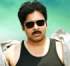 What is the range of Gabbar Singh?