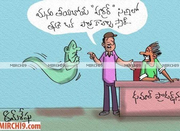 india pakistan cyber attack