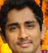 Siddharth and Samantha to romance in Dubai