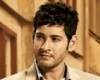 Mahesh Roya Stag Ad Photo First Look