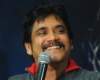 Nagarjuna to do a cameo