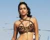 YVS is happy with Shraddha Das