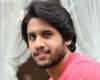 Vettai remake titled 'Peddhodu-Chinnodu'!