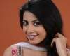 Kavya left software for films