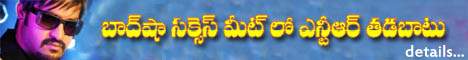 NTR On Dookudu