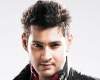 Mahesh - Sukumar movie high on action!