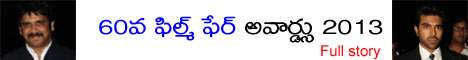 film-fare-awards 2013