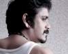 Nagarjuna's Bhai take a slump on its day-2!