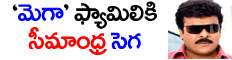 /seemandhra-effect-on-mega-family/