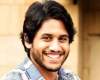 Naga Chaitanya in Telugu remake of Punjabi film