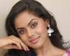 Not ignoring Telugu industry - Karthika