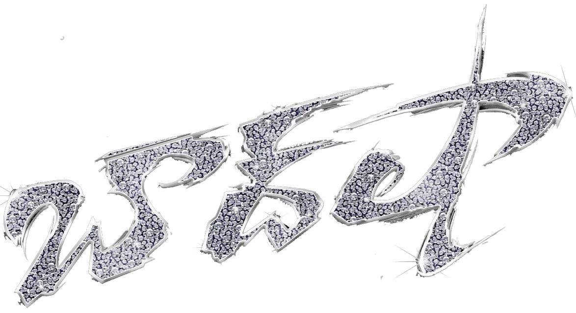 Baadshah-Logo