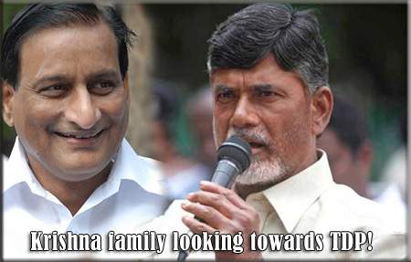 Krishna family looking towards TDP!
