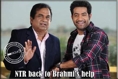 NTR back to Brahmi's help