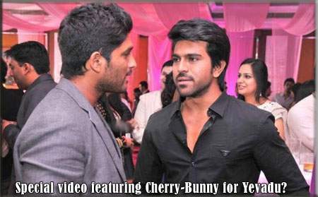 Special video featuring Cherry-Bunny for Yevadu?