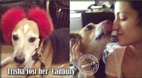 Trisha lost her Cadbury
