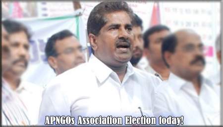 APNGOs