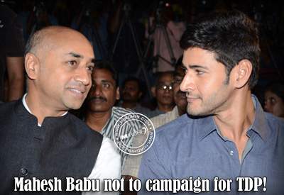 Mahesh Babu not to campaign for TDP!