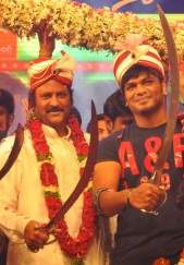 Pandavulu Pandavulu Tummeda Audio Function Photos (Final Set)
