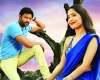 Emo Gurram Egara Vachu Review