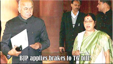 BJP applies brakes to TG bill!