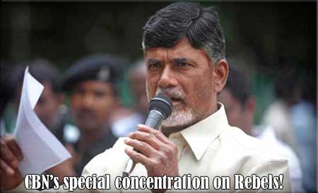 Chandra Babu's special concentration on Rebels!