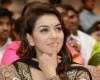 Is Hansika the busiest actress in south?