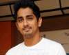 Siddharth beats Southern Stars in Twitter race