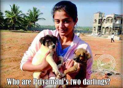 Who-are-Priyamani's-two-dar