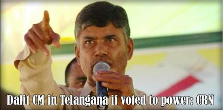 Dalit CM in Telangana if voted to power: CBN
