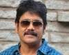 Now a Jr NTR and Nagarjuna multi-starrer in offering