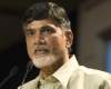 TDP answered critics well!