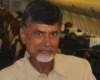 TDP cruising in Seema Andhra!