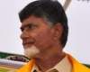 Municipal Results: TDP in Seema Andhra, Congress in Telangana!