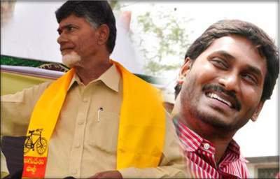 ycp-tdp