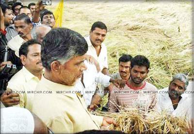 cbn-farmers