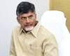 CBN plans Loan Waiver to benefit 96% families!