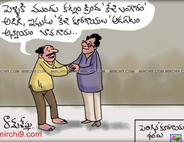 Cartoon on Vegetable price hike