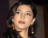 Shruti not yet ready for Mahesh's song?