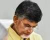 సెంటర్ లో చంద్రబాబుతో చెడుగుడు