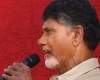 Chandra Babu to tour Telangana!