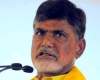 YSRCP MLAs/MPs Working Relationship with TDP