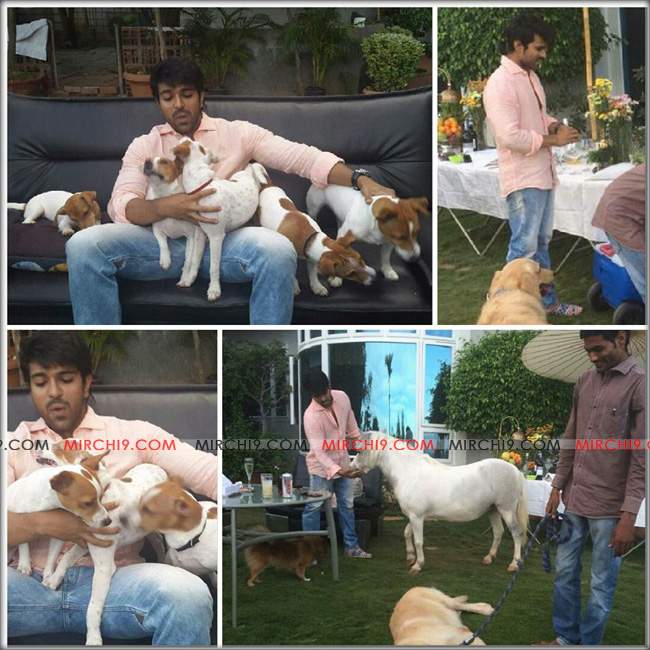 charan-with-pets