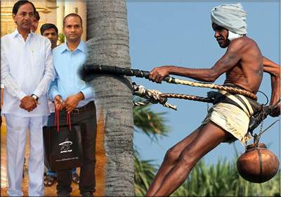 in-hyd-toddy
