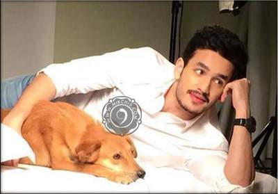 akhil-akkineni