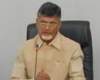chandra babu naidu