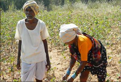 farmers-in-ap