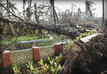 Vizag-timber-smuggling_hudhud